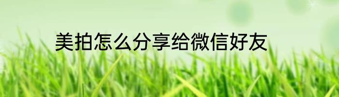 美拍怎么分享给微信好友