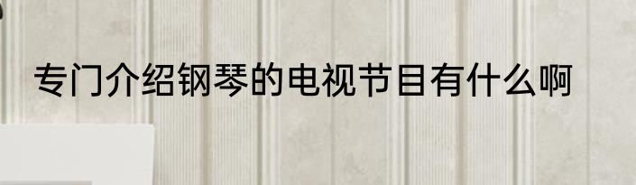 专门介绍钢琴的电视节目有什么啊