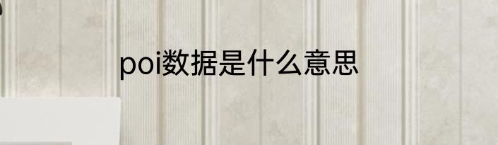 poi数据是什么意思