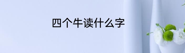 四个牛读什么字