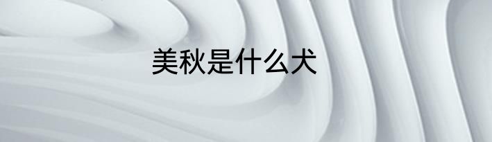 美秋是什么犬