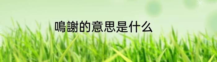 鳴謝的意思是什么