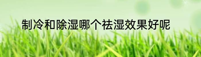 制冷和除湿哪个祛湿效果好呢