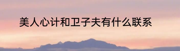美人心计和卫子夫有什么联系