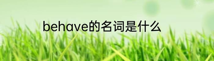 behave的名词是什么