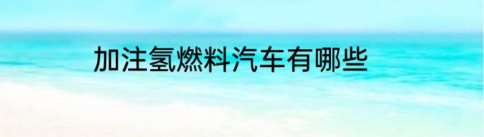 加注氢燃料汽车有哪些