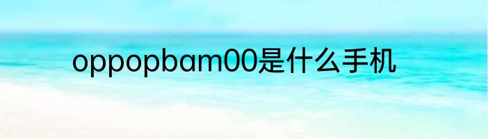 oppopbam00是什么手机