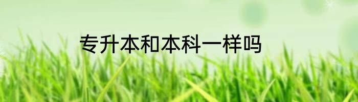 专升本和本科一样吗