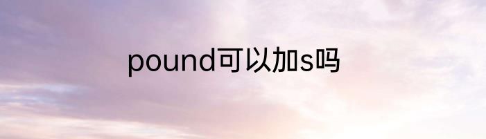 pound可以加s吗