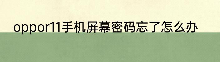 oppor11手机屏幕密码忘了怎么办