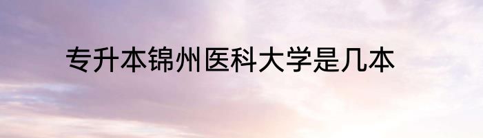 专升本锦州医科大学是几本