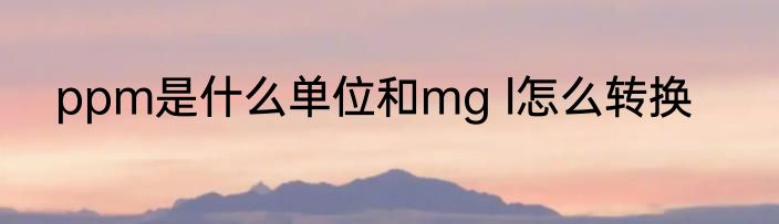 ppm是什么单位和mg l怎么转换