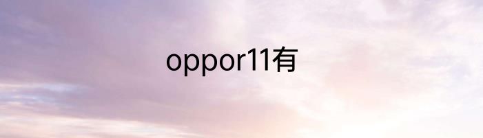 oppor11有