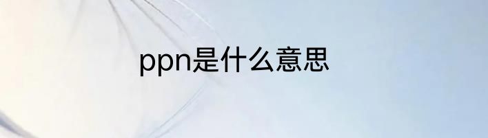 ppn是什么意思