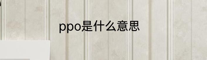 ppo是什么意思