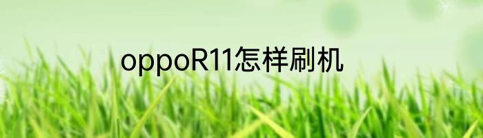 oppoR11怎样刷机