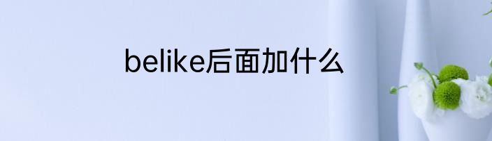 belike后面加什么