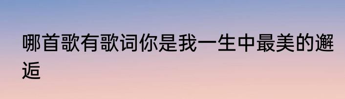 哪首歌有歌词你是我一生中最美的邂逅