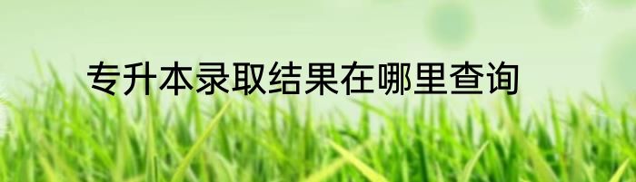 专升本录取结果在哪里查询
