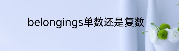belongings单数还是复数