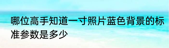 哪位高手知道一寸照片蓝色背景的标准参数是多少