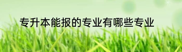 专升本能报的专业有哪些专业
