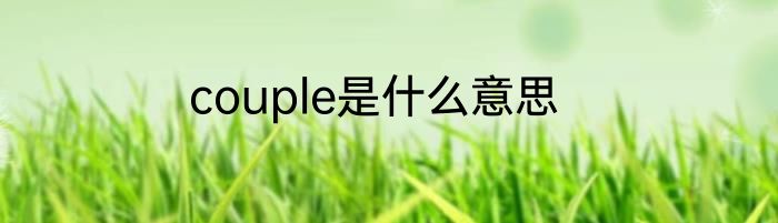 couple是什么意思