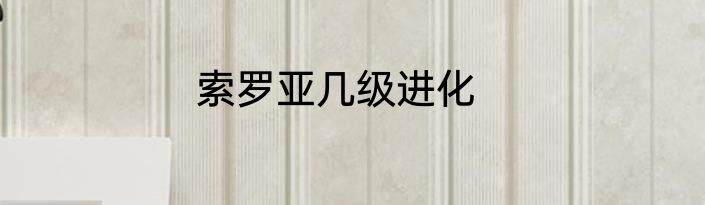 索罗亚几级进化