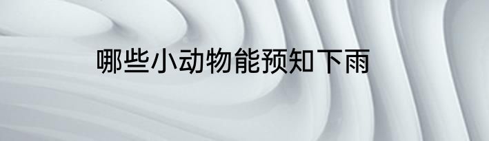 哪些小动物能预知下雨