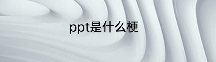 ppt是什么梗