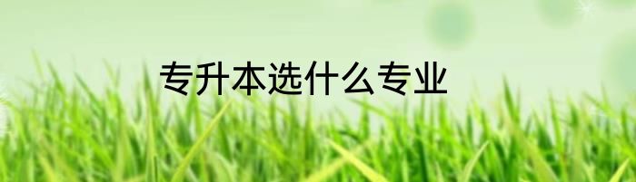 专升本选什么专业
