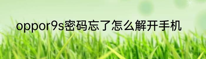 oppor9s密码忘了怎么解开手机