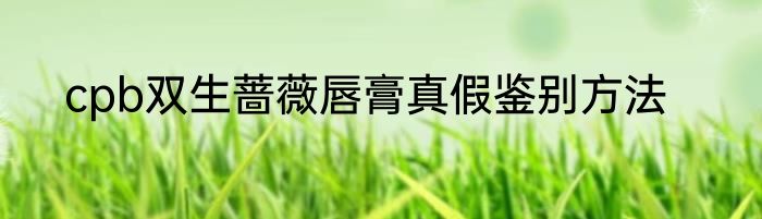 cpb双生蔷薇唇膏真假鉴别方法