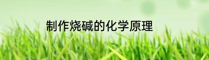 制作烧碱的化学原理