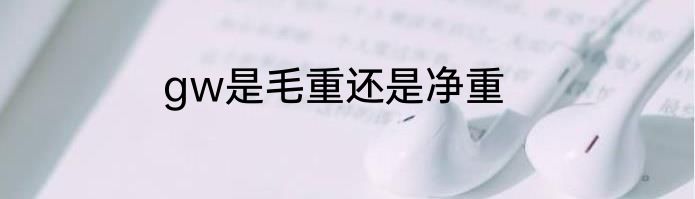 gw是毛重还是净重