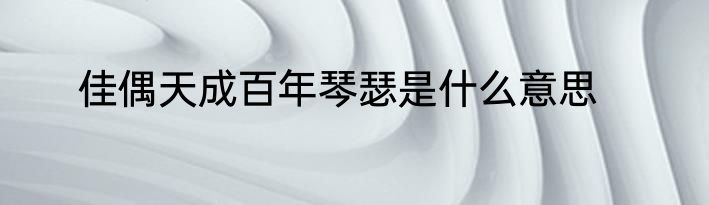 佳偶天成百年琴瑟是什么意思