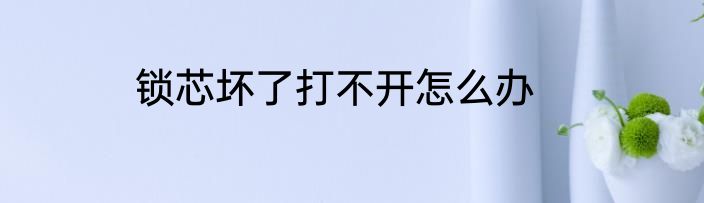 锁芯坏了打不开怎么办
