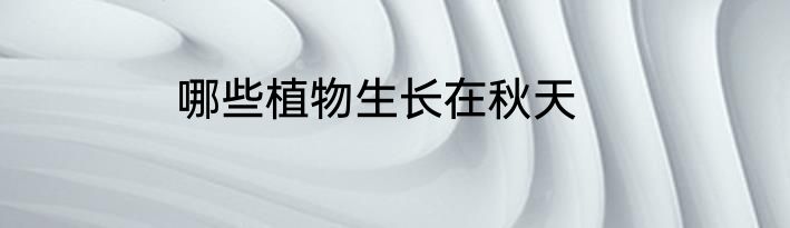 哪些植物生长在秋天