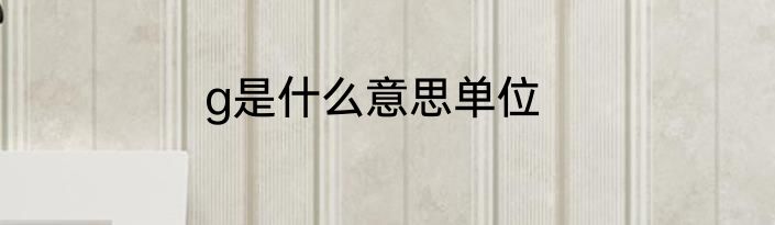 g是什么意思单位