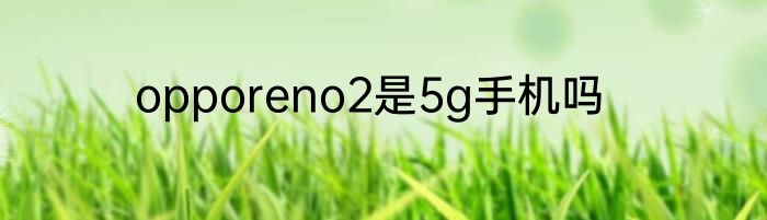 opporeno2是5g手机吗