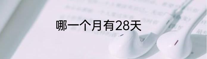 哪一个月有28天