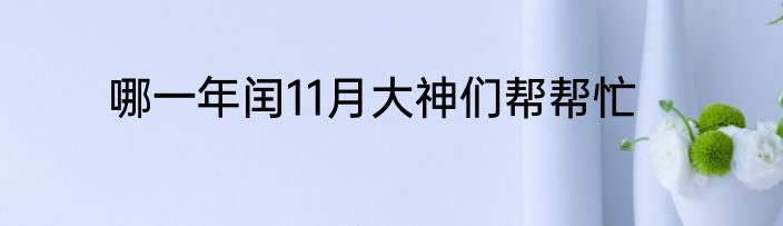 哪一年闰11月大神们帮帮忙