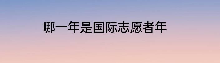 哪一年是国际志愿者年