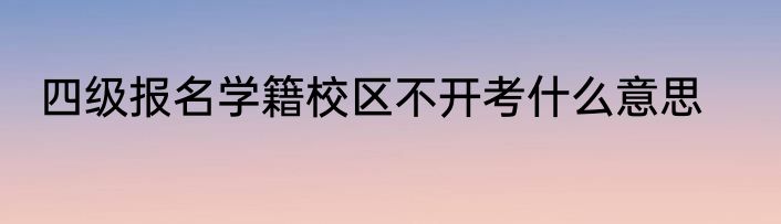 四级报名学籍校区不开考什么意思