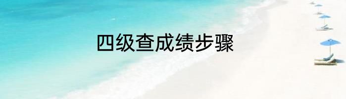 四级查成绩步骤