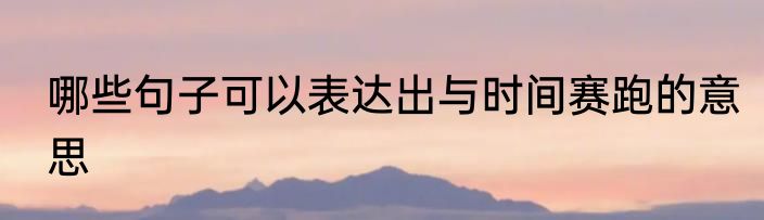 哪些句子可以表达出与时间赛跑的意思
