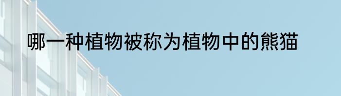 哪一种植物被称为植物中的熊猫