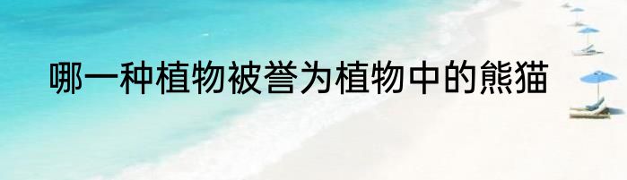 哪一种植物被誉为植物中的熊猫