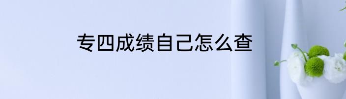 专四成绩自己怎么查