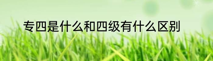 专四是什么和四级有什么区别